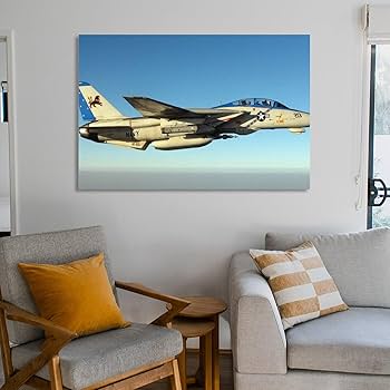 Amazon.co.jp: まさに大スターな戦闘機、F-14「トムキャット